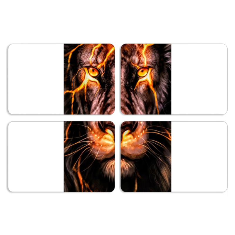 Магнитные фотопазлы 80 на 50 набор 4 штуки Fire Lion