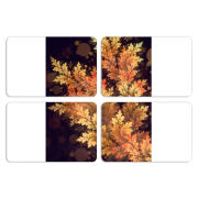 Магнитные фотопазлы 80 на 50 набор 4 штуки 