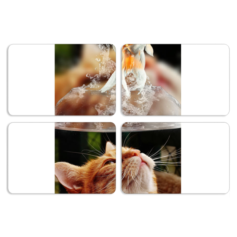 Магнитные фотопазлы 80 на 50 набор 4 штуки 