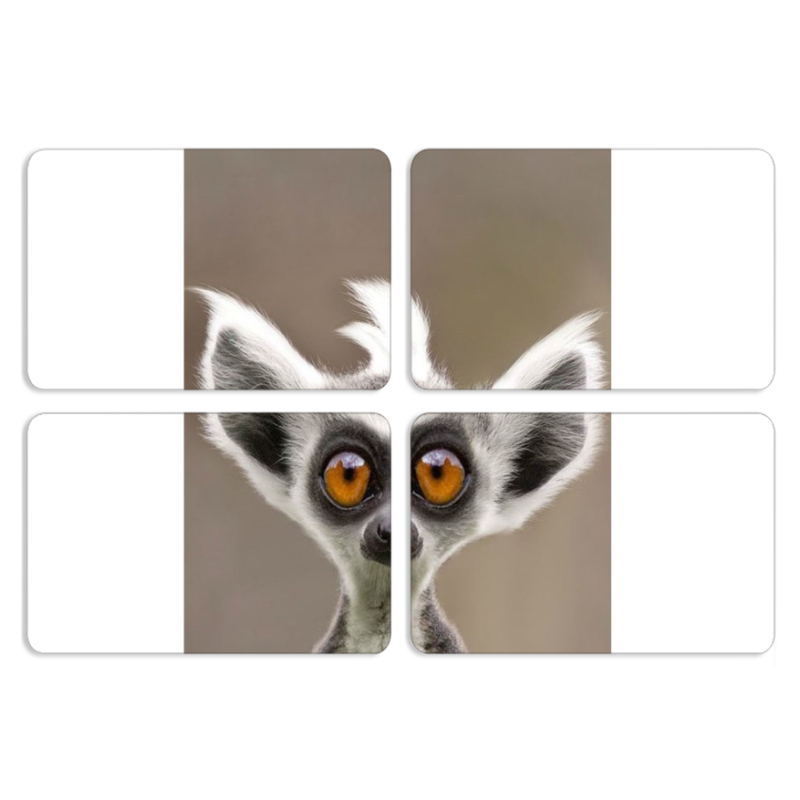 Магнитные фотопазлы 80 на 50 набор 4 штуки 