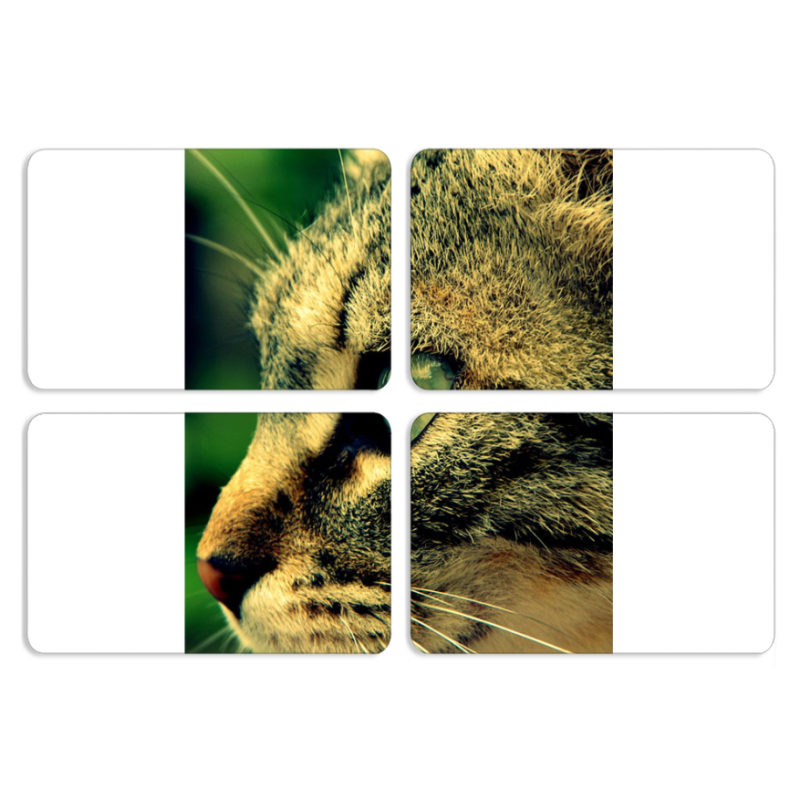 Магнитные фотопазлы 80 на 50 набор 4 штуки 