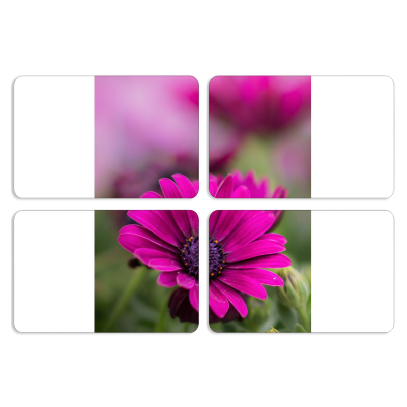 Магнитные фотопазлы 80 на 50 набор 4 штуки 