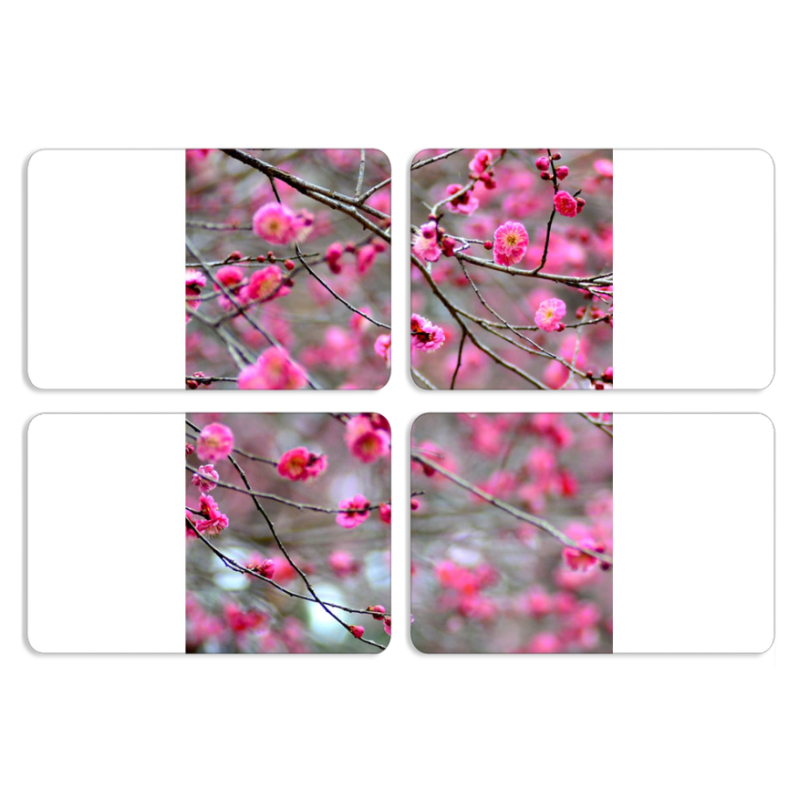 Магнитные фотопазлы 80 на 50 набор 4 штуки 