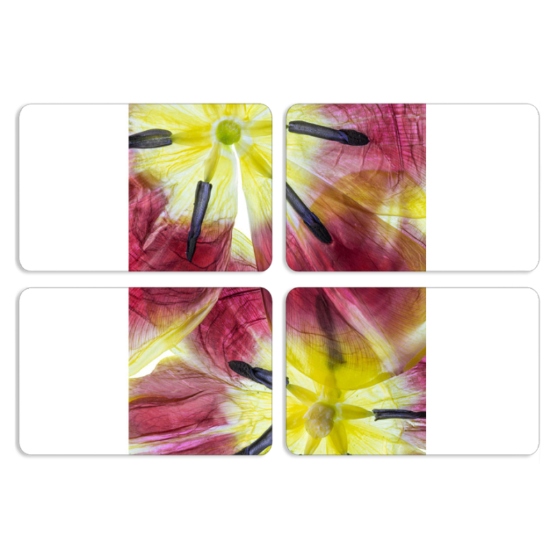 Магнитные фотопазлы 80 на 50 набор 4 штуки 