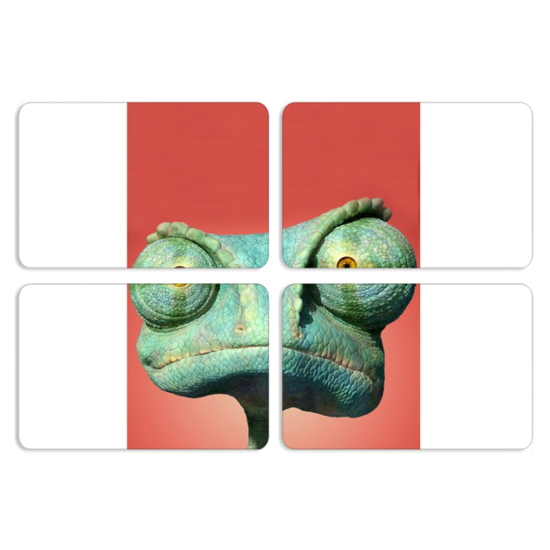 Магнитные фотопазлы 80 на 50 набор 4 штуки 