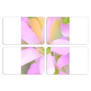 Магнитные фотопазлы 80 на 50 набор 4 штуки 