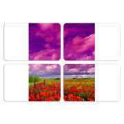 Магнитные фотопазлы 80 на 50 набор 4 штуки 