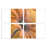 Магнитные фотопазлы 80 на 50 набор 4 штуки 