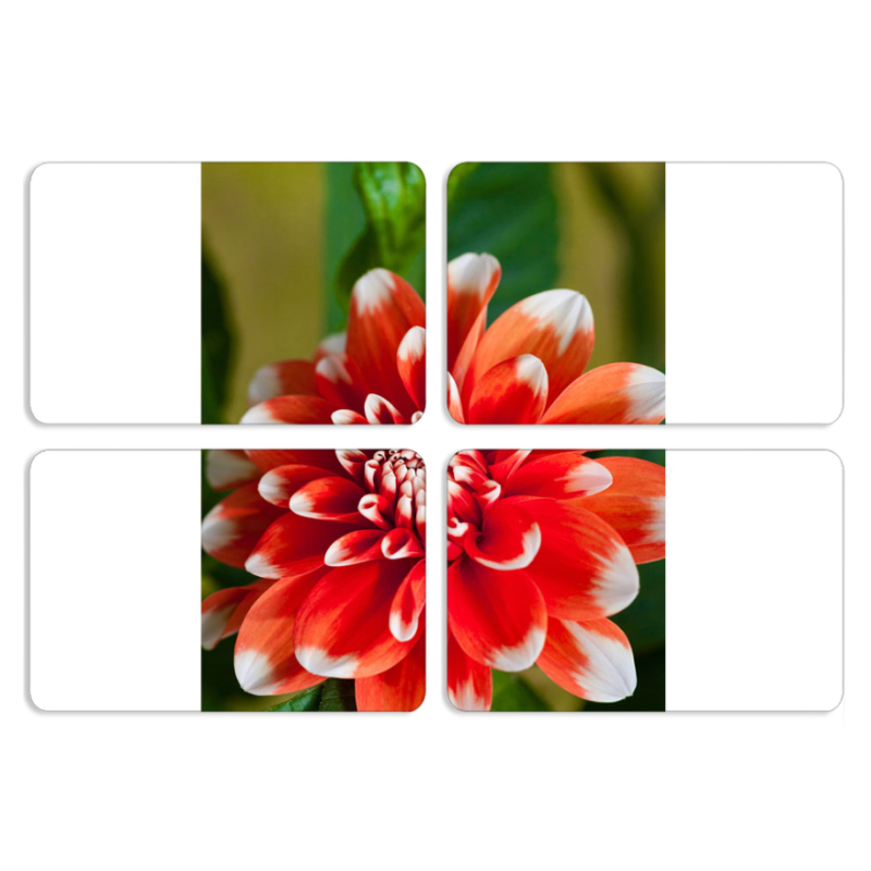 Магнитные фотопазлы 80 на 50 набор 4 штуки 