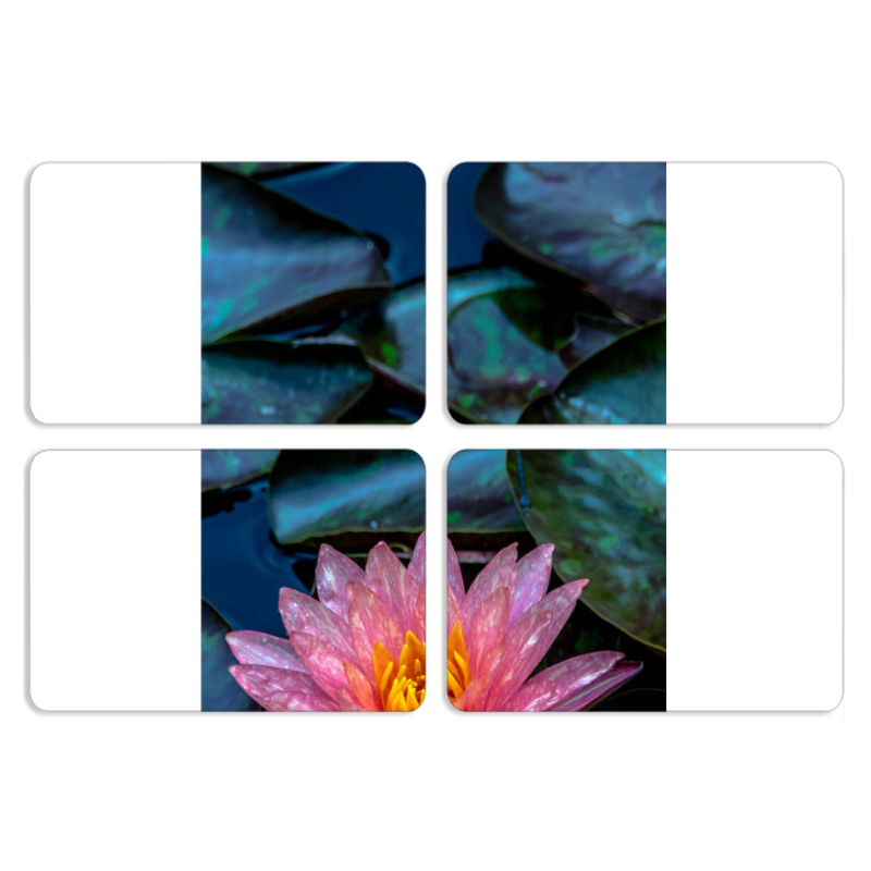 Магнитные фотопазлы 80 на 50 набор 4 штуки 