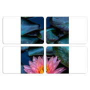 Магнитные фотопазлы 80 на 50 набор 4 штуки 