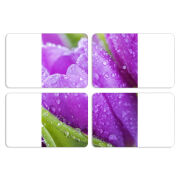 Магнитные фотопазлы 80 на 50 набор 4 штуки 