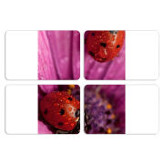 Магнитные фотопазлы 80 на 50 набор 4 штуки 