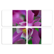 Магнитные фотопазлы 80 на 50 набор 4 штуки 