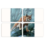 Магнитные фотопазлы 80 на 50 набор 4 штуки 