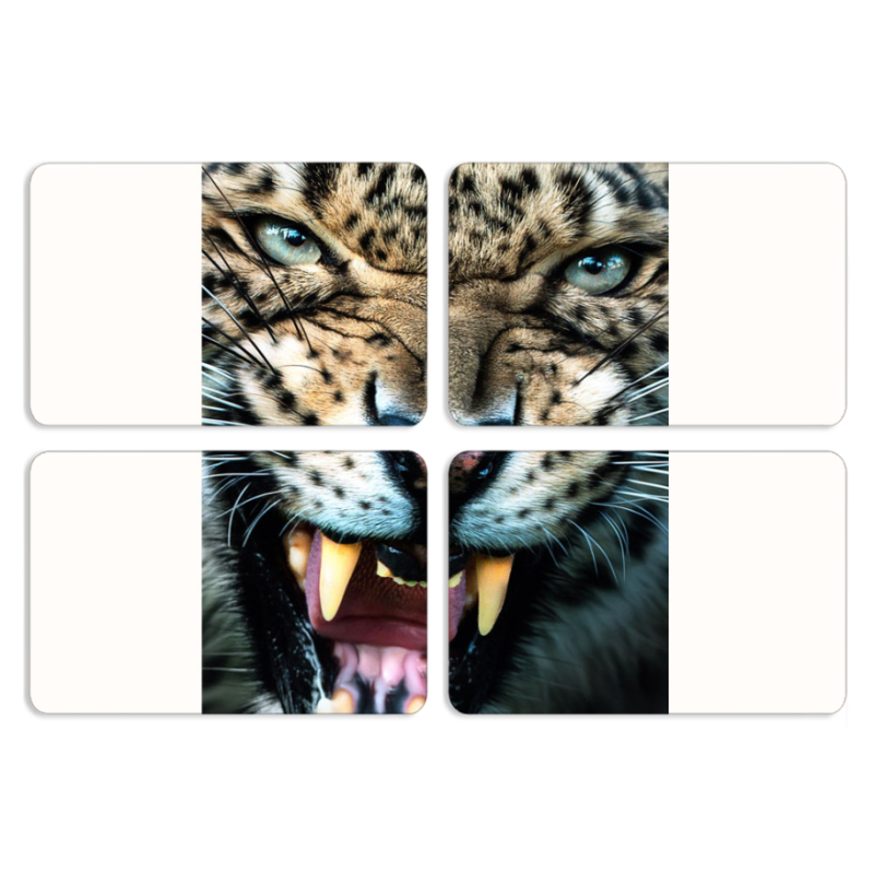 Магнитные фотопазлы 80 на 50 набор 4 штуки 