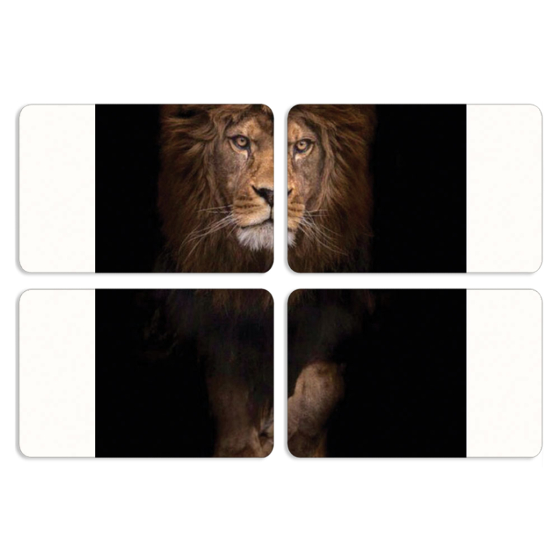 Магнитные фотопазлы 80 на 50 набор 4 штуки 