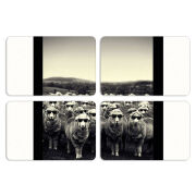 Магнитные фотопазлы 80 на 50 набор 4 штуки 