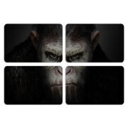 Магнитные фотопазлы 80 на 50 набор 4 штуки 