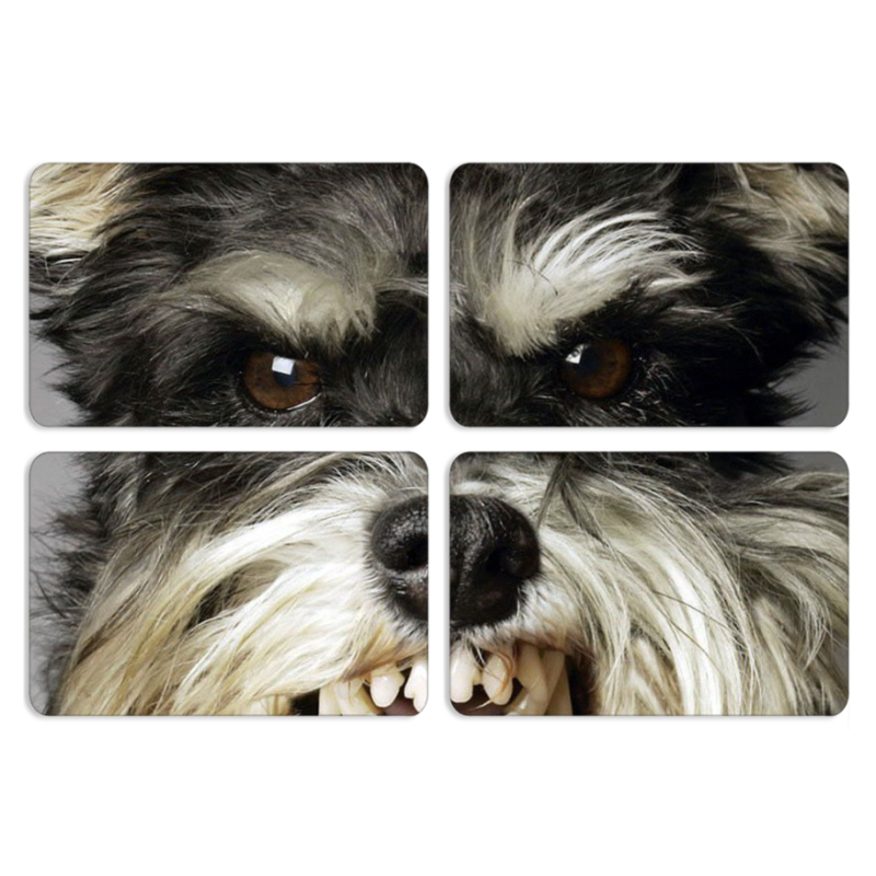 Магнитные фотопазлы 80 на 50 набор 4 штуки Cursor