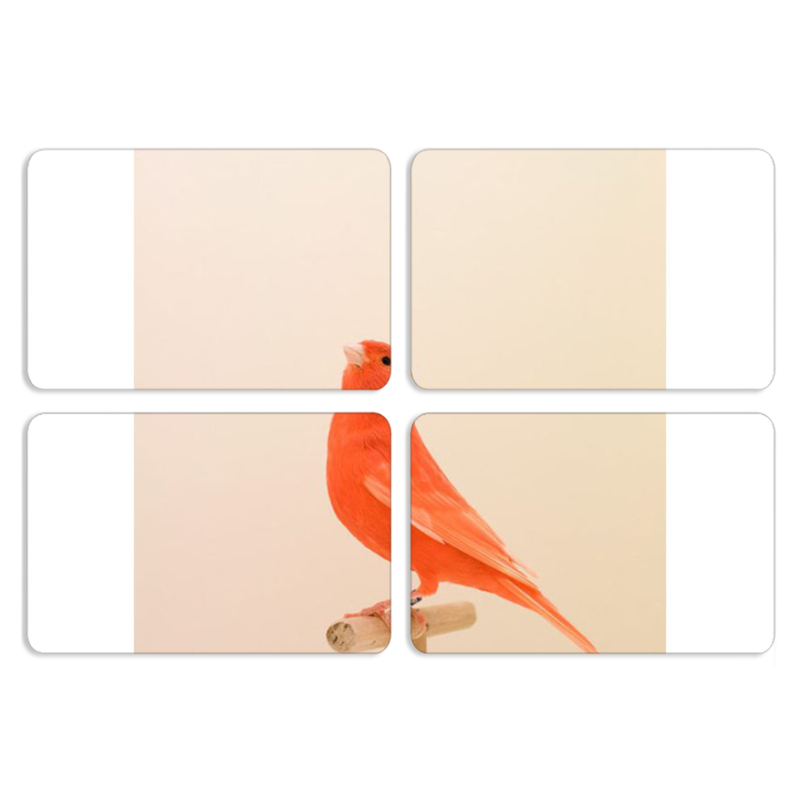 Магнитные фотопазлы 80 на 50 набор 4 штуки 