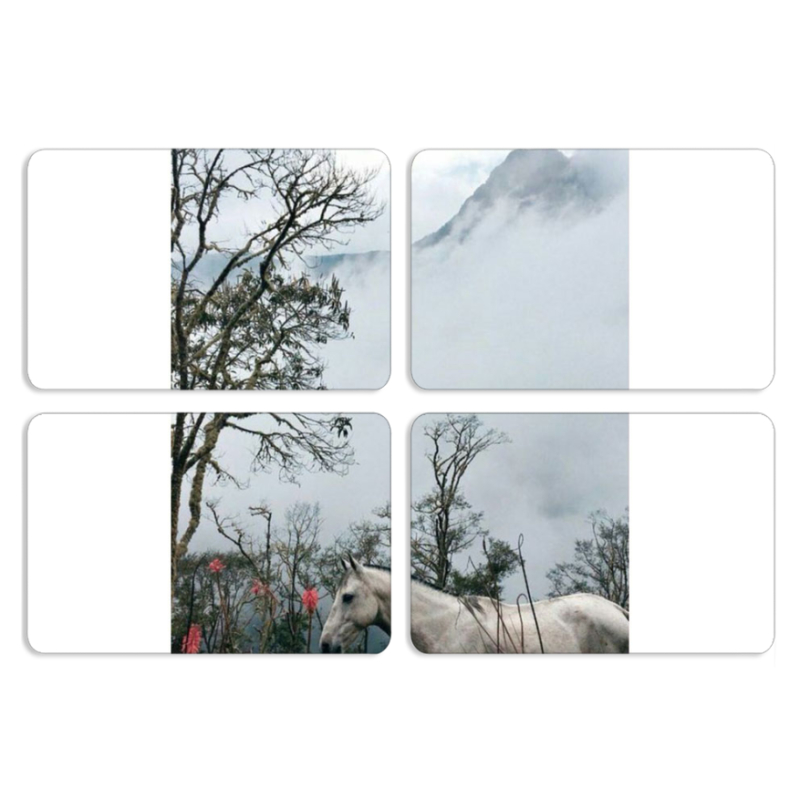 Магнитные фотопазлы 80 на 50 набор 4 штуки 