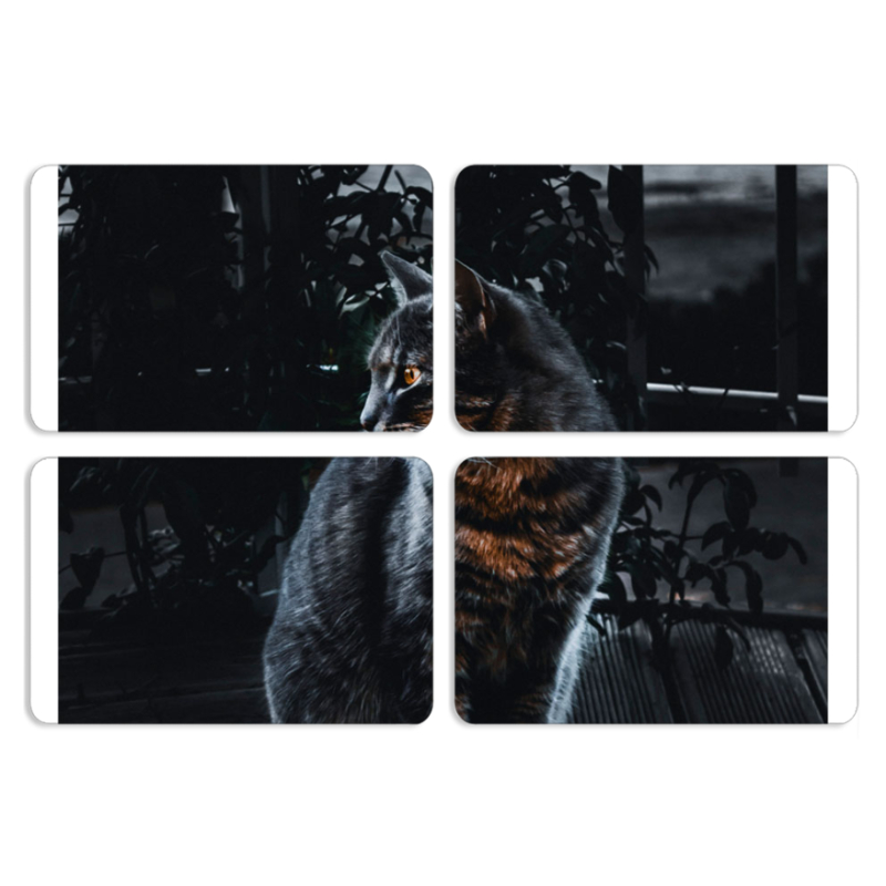 Магнитные фотопазлы 80 на 50 набор 4 штуки 