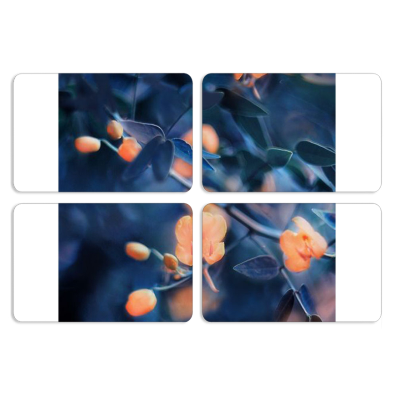 Магнитные фотопазлы 80 на 50 набор 4 штуки 