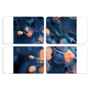 Магнитные фотопазлы 80 на 50 набор 4 штуки 