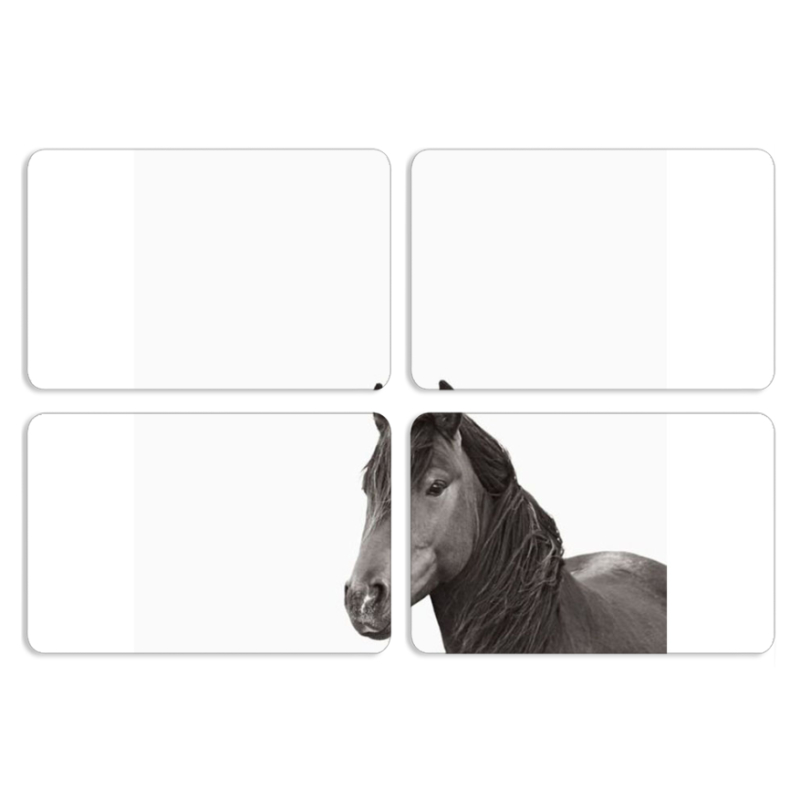 Магнитные фотопазлы 80 на 50 набор 4 штуки 