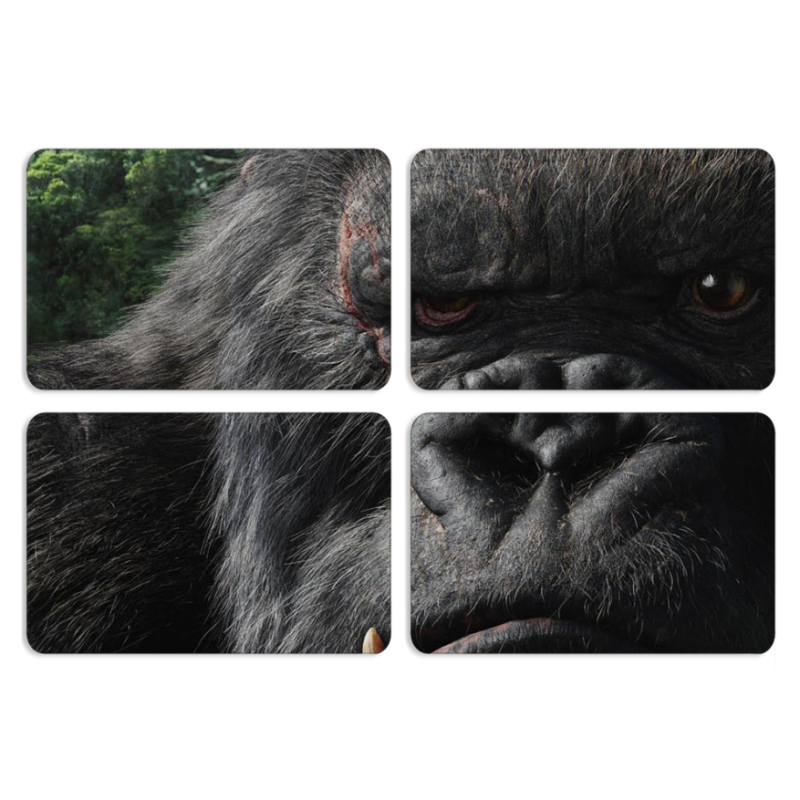 Магнитные фотопазлы 80 на 50 набор 4 штуки Kong