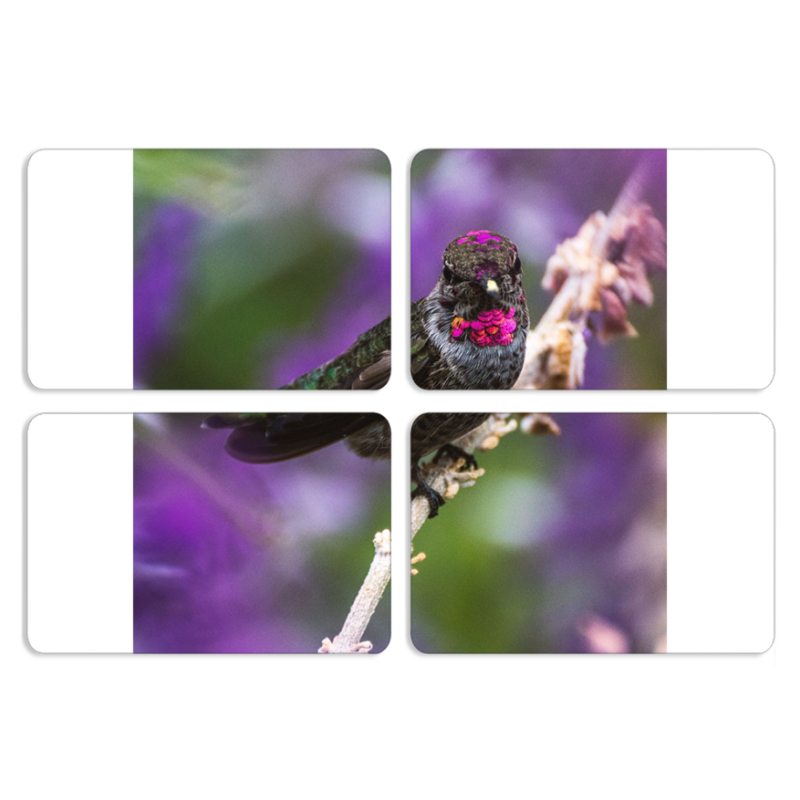 Магнитные фотопазлы 80 на 50 набор 4 штуки 