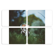 Магнитные фотопазлы 80 на 50 набор 4 штуки 