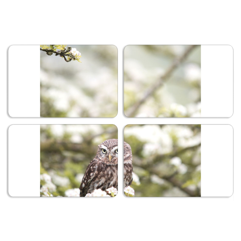 Магнитные фотопазлы 80 на 50 набор 4 штуки 