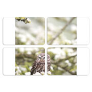 Магнитные фотопазлы 80 на 50 набор 4 штуки 