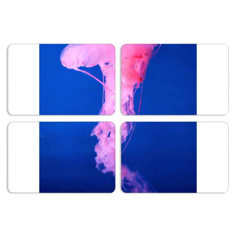 Магнитные фотопазлы 80 на 50 набор 4 штуки 