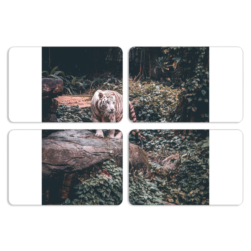 Магнитные фотопазлы 80 на 50 набор 4 штуки 