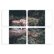 Магнитные фотопазлы 80 на 50 набор 4 штуки 