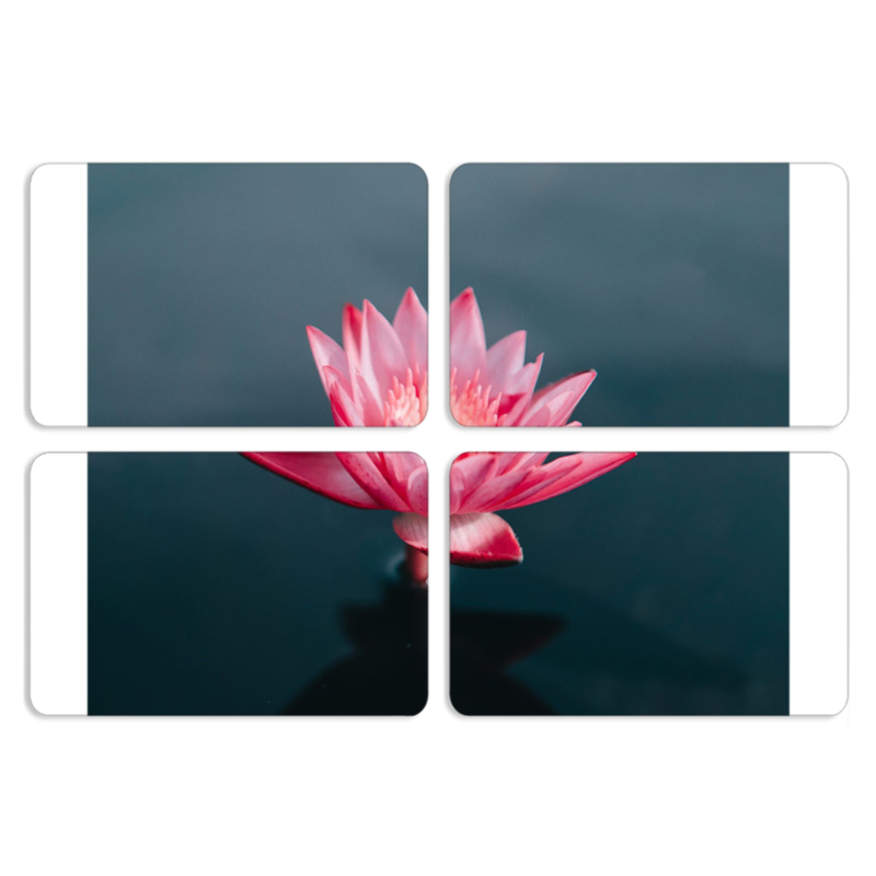 Магнитные фотопазлы 80 на 50 набор 4 штуки 