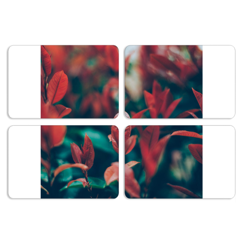 Магнитные фотопазлы 80 на 50 набор 4 штуки 