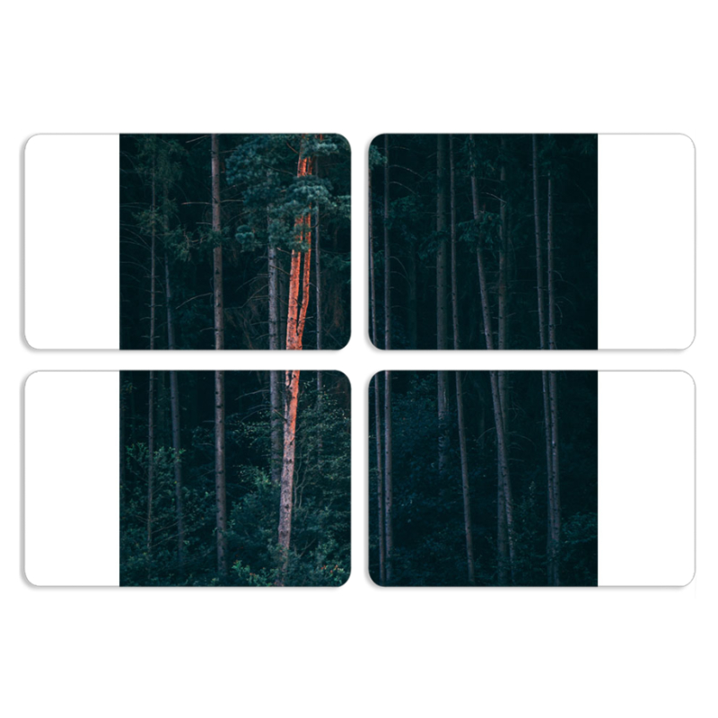 Магнитные фотопазлы 80 на 50 набор 4 штуки 