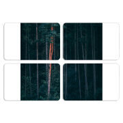 Магнитные фотопазлы 80 на 50 набор 4 штуки 