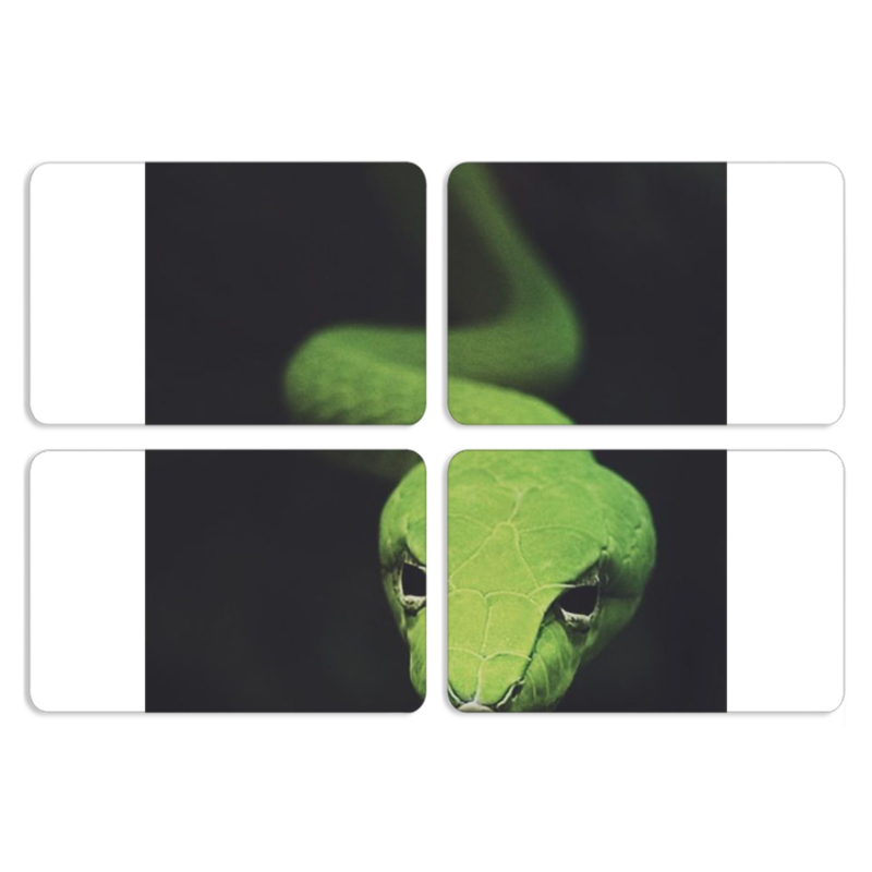 Магнитные фотопазлы 80 на 50 набор 4 штуки 