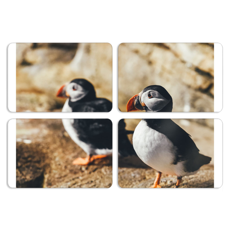 Магнитные фотопазлы 80 на 50 набор 4 штуки 