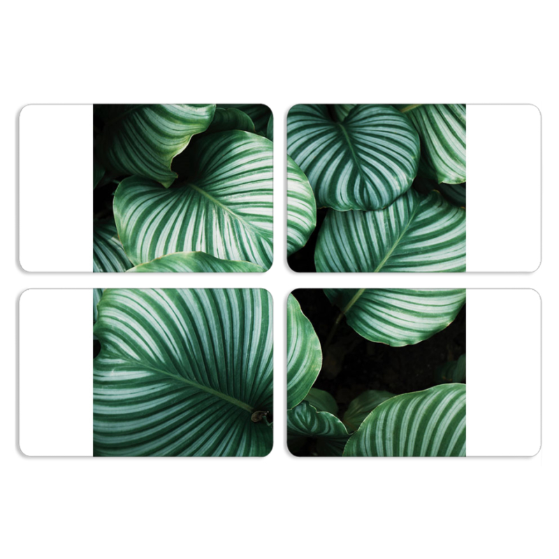 Магнитные фотопазлы 80 на 50 набор 4 штуки 