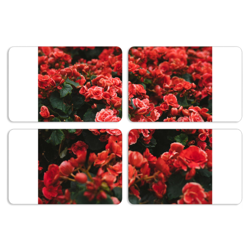 Магнитные фотопазлы 80 на 50 набор 4 штуки 