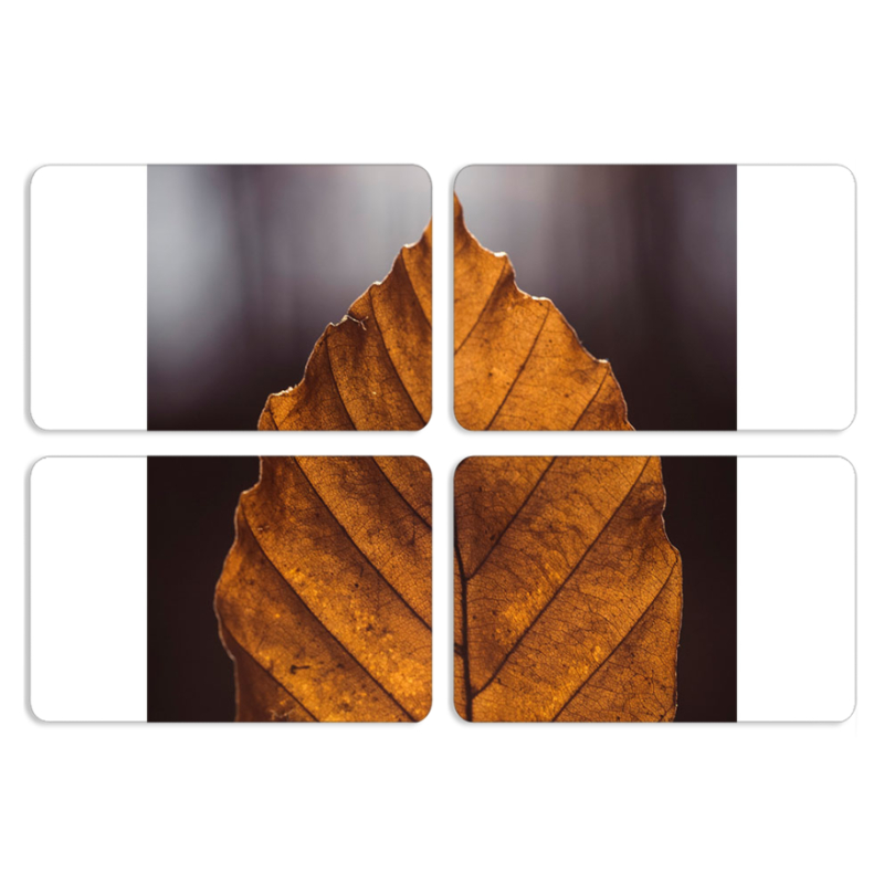 Магнитные фотопазлы 80 на 50 набор 4 штуки 