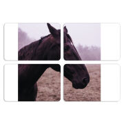 Магнитные фотопазлы 80 на 50 набор 4 штуки 