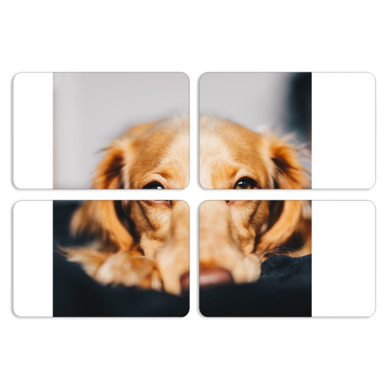 Магнитные фотопазлы 80 на 50 набор 4 штуки 