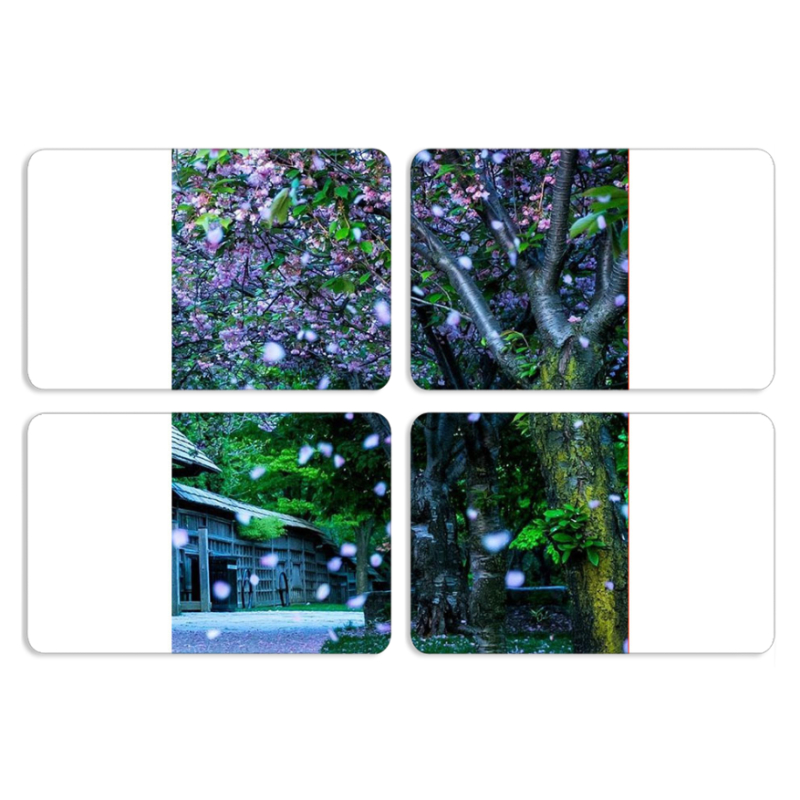 Магнитные фотопазлы 80 на 50 набор 4 штуки 